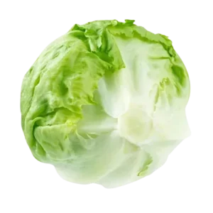 Fresh Iceberg Lettuce (Farm-fresh iceberg)
